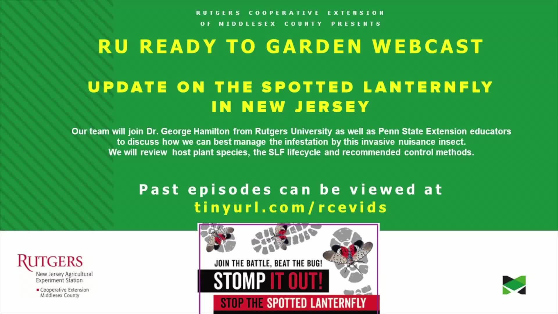 Update on the Spotted Lanternfly in New Jersey