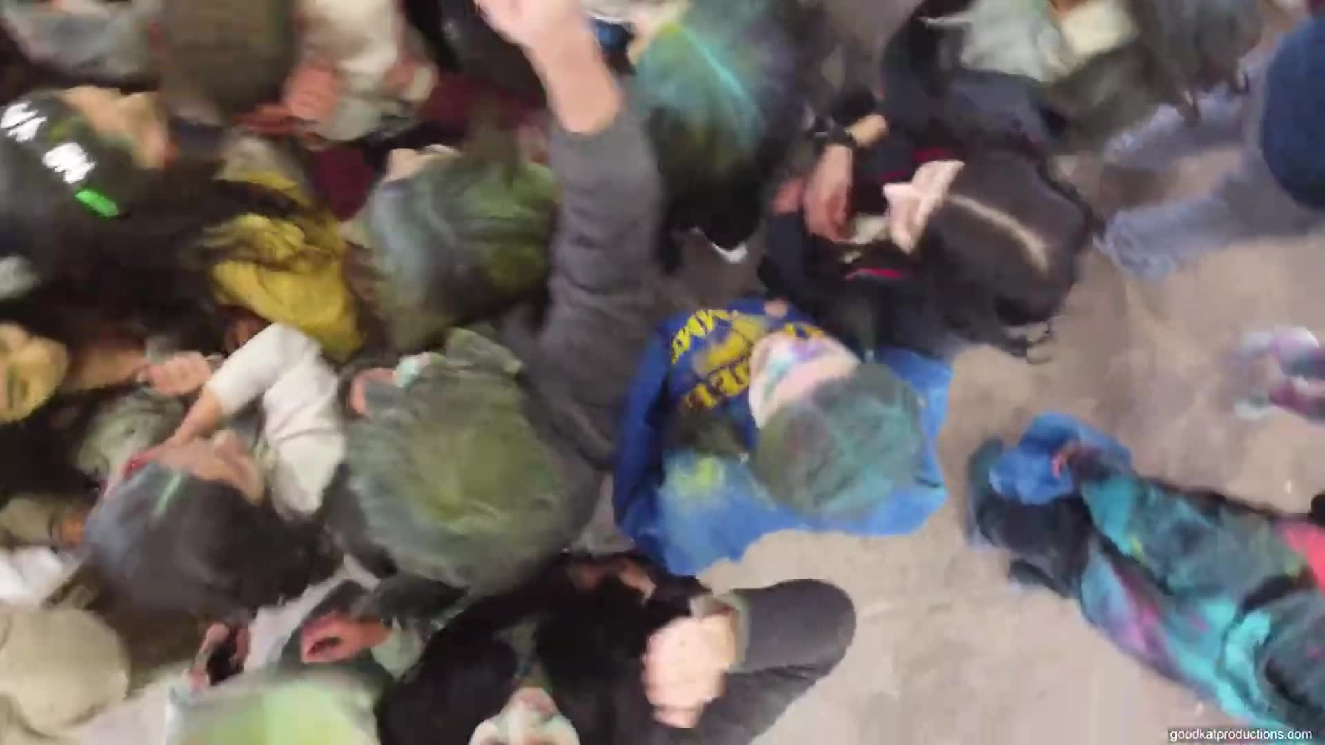 2023 Holi Festival Highlights